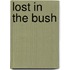 Lost in the Bush
