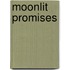 Moonlit Promises