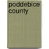 Poddebice County