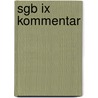 Sgb Ix Kommentar door Bernhard Knittel