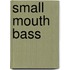Small Mouth Bass