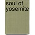 Soul of Yosemite
