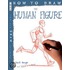 The Human Figure