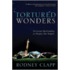 Tortured Wonders