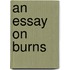 An Essay On Burns