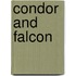 Condor And Falcon