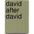 David After David