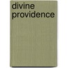 Divine Providence by Thomas P. Flint
