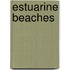 Estuarine Beaches