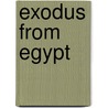 Exodus From Egypt door Joel Klenck