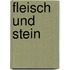 Fleisch und Stein