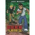 Geocache Surprise