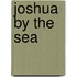 Joshua by the Sea