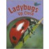 Ladybugs Up Close