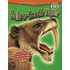 Sabre-Tooth Tiger