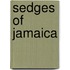 Sedges Of Jamaica