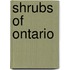 Shrubs Of Ontario