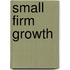 Small Firm Growth