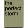 The Perfect Storm door Irv Blickstein