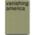 Vanishing America