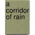 A Corridor Of Rain