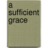 A Sufficient Grace