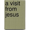 A Visit from Jesus by J. Roeder Dawn