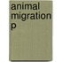 Animal Migration P
