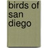 Birds Of San Diego