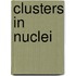 Clusters In Nuclei
