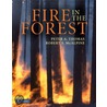 Fire In The Forest door Robin McAlpine