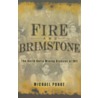 Fire and Brimstone door Michael Punke