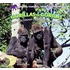 Gorillas / Gorilas