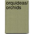 Orquideas/ Orchids