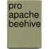 Pro Apache Beehive