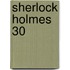 Sherlock Holmes 30
