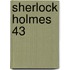 Sherlock Holmes 43