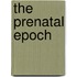 The Prenatal Epoch