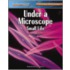 Under a Microscope
