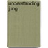 Understanding Jung