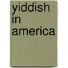 Yiddish in America door Edward Shapiro