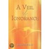 A Veil Of Ignorance