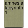 Amnesia Labyrinth 1 door Natsumi Kohane
