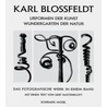 Art Forms In Nature by Karl Blossfeldt