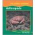 Arthropods (Animal)