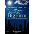Beyond the Big Firm