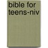 Bible For Teens-niv