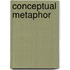 Conceptual Metaphor