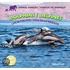 Dolphins / Delfines