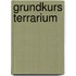 Grundkurs Terrarium